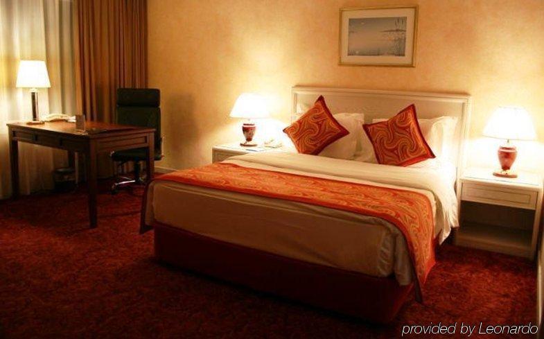 Buyukhanli Park Hotel アンカラ 部屋 写真